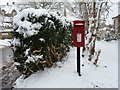 ST5105 : Corscombe: postbox № DT2 21 by Chris Downer