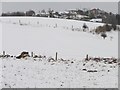 SE2218 : Snowy field west of Foxroyd Shrogg by Christine Johnstone