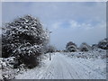 The former Withernsea railway line