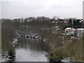 River Irwell, Downstream from Outwood Viaduct