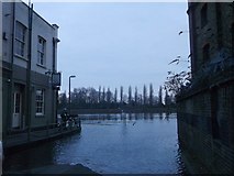 TQ2076 : Flooding near The Ship Pub, Mortlake by David Anstiss