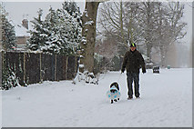 TQ2995 : Walking the Dog, Oakwood Park, London N14 by Christine Matthews