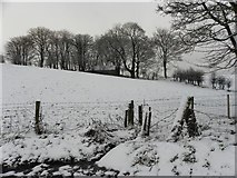 H5572 : Snow at Bracky by Kenneth  Allen