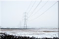 SP7229 : Pylons across the fields by Philip Jeffrey