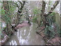 Cadoxton River near Dinas Powys