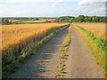 Farm track south of Park Leys