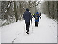 Snow covered track