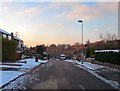 Looking down Gower Road