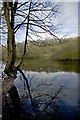 Humber Bridge Country Park pond