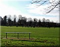 Football pitch, Newport IOW