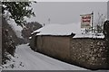 Mid Devon : Country Lane