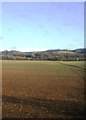 Farmland by the railway line