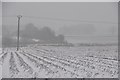 Mid Devon : Snow Scene