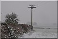 Mid Devon : Snowy Field & Hedgerow