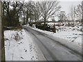 Bog Lane, Stirton