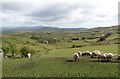 Farmland in the Muddock Valley