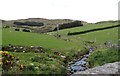 The upper reaches of the Muddock Valley