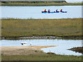 SY9888 : Little egrets and canoeists near Shipstal Point by Phil Champion