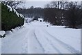 SD7412 : Snowy Lane by Philip Platt