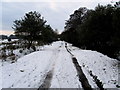 Footpath at Seedalls