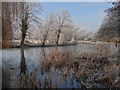 Frosty mill pond