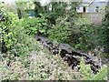 The Muddock above Dublin Road bridge, Kilcoo