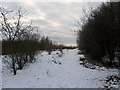 Lanehead Quarry Biodiversity Corner