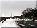 Bollards on Albert Promenade