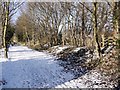 Wylam Waggonway, site of Heddon on the Wall Station