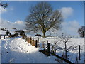 By-way, Ashes Common Farm, near Almondbury