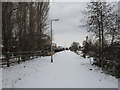 A cycleway leading to Spring Bank West, Hull