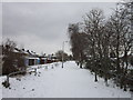 A cycleway leading to Spring Bank West, Hull