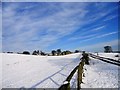 Track along to Broad Oak Farm