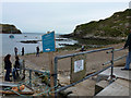 SY8279 : Beach on the west side of Lulworth Cove by Phil Champion