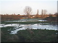 Flooded land near Spring Bank West