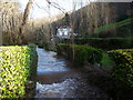 The Castrogi Brook in the Coombe Valley