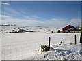NT8567 : Snow covered field, Coldingham Moor by Richard Webb