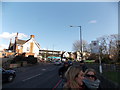 View of the Grove from Dulwich Common