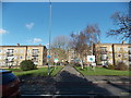 View of the Lordship Lane Estate from Dulwich Common