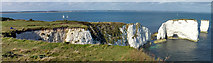 SZ0582 : Chalk cliffs and stacks at Handfast Point by Phil Champion