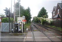 TM2836 : Line to Ipswich by N Chadwick