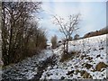 Path from Blackhall Mill