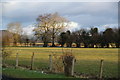 Grazing land at Caersws