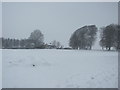 Snowy field north of the Downs