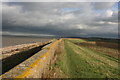 TR0464 : Saxon Shore Way along The Swale by N Chadwick