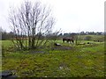 Rough ground near Lough Skitter