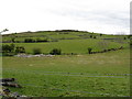 Field boundaries on a Drumlin above the Muddock Valley