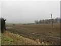 Fields south of Hyde Lane