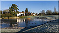 Bradmore Green pond, Old Coulsdon