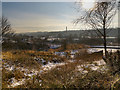 SD7506 : Manchester, Bolton and Bury Canal, Prestolee (Nob End) Locks by David Dixon